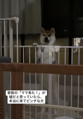 普通に叱られました