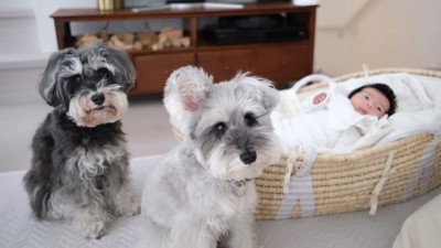 素敵なお姉さんたち♪