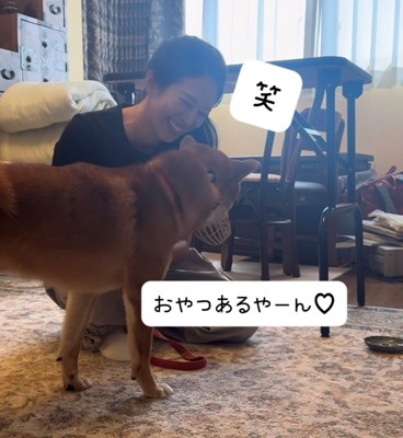 おやつを見つけた犬