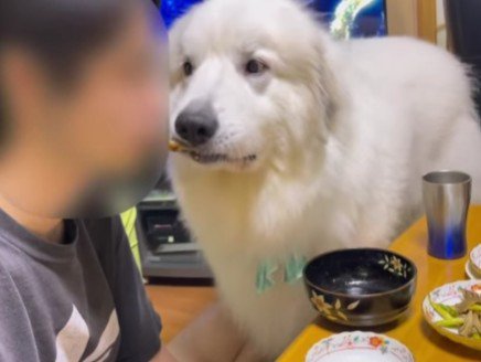 またまた盗られた！！