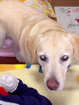 優しい表情にホッコリ