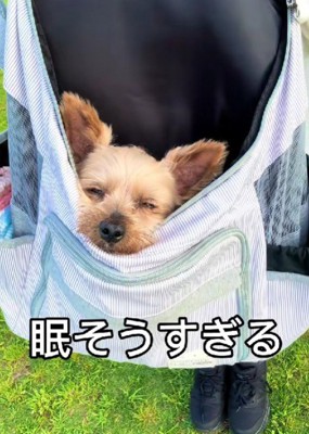 歩こうとしない!?