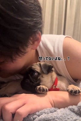 上目遣いのうめちゃん