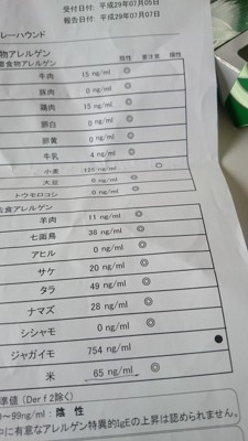 匿名の投稿画像