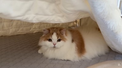 お気に召したようです♡