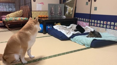 「そこは私の…」