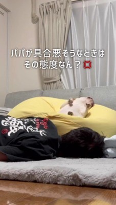 得意げにゴロゴロ!