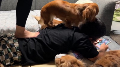 背中に飛び乗るモナカちゃん