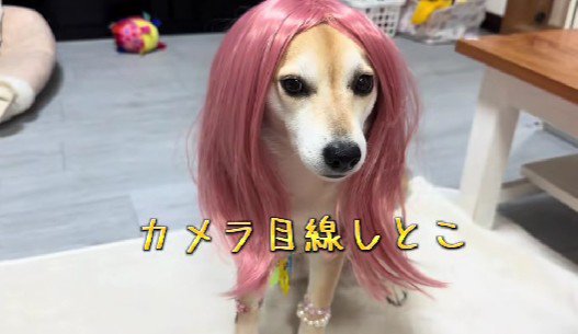 まさかのギャル化！？