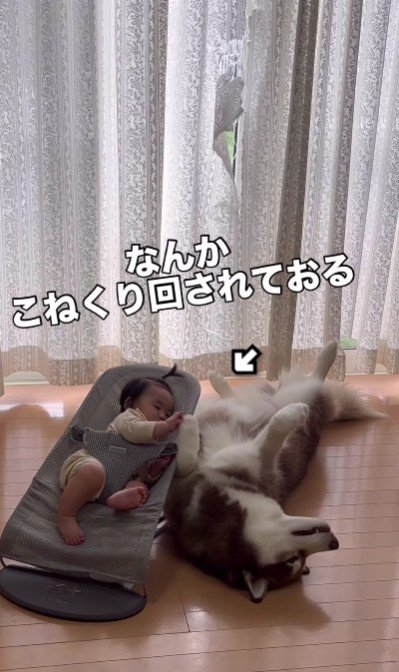 寝かしつけされちゃった?