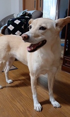 そらちゃんの変化9