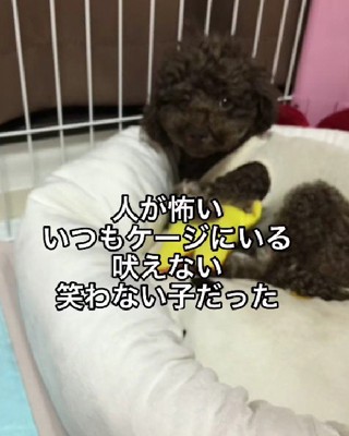 人間に恐怖心を感じる