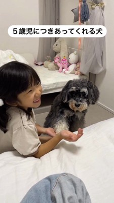 犬におかわりをしてもらって笑顔になる女の子