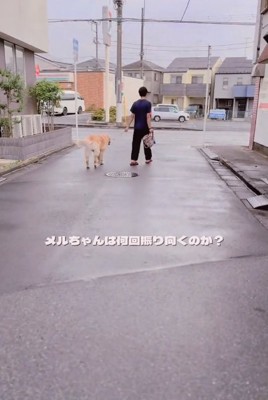 散歩するパパとメルくん