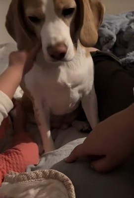 ほっぺたをツンツン♪