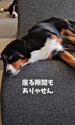 残念ながら、一緒に座るのも無理…