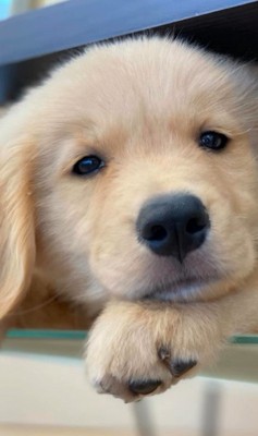 かーる君の成長記録3