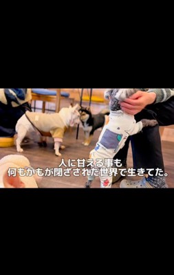 おこげちゃんが幸せを掴むまで6