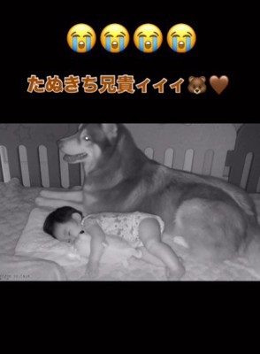 たぬきちちゃんがやってきた！！