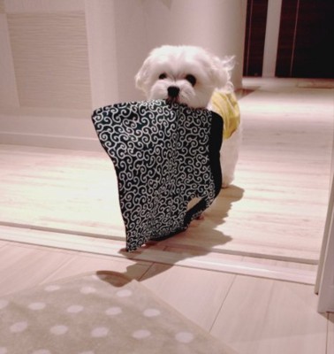 ちゃんちゃんこ