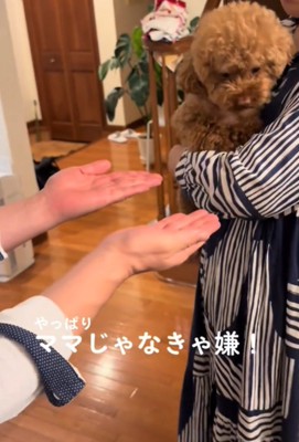 犬に手を差し出す1