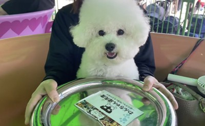 笑顔でエンジョイ