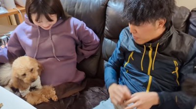 少しずつ近づいてみる