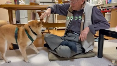 からかわれる富くん