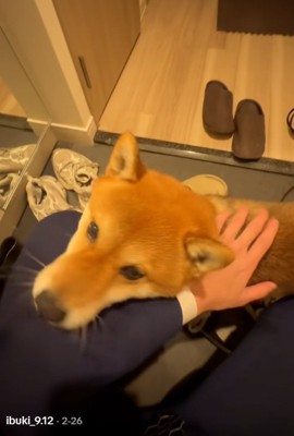 喜ぶイブキくん