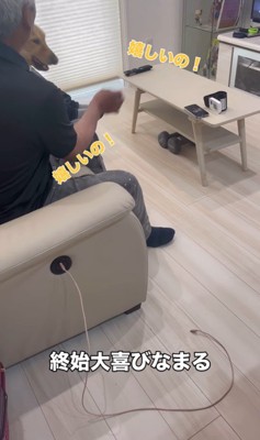 まるちゃんの熱烈歓迎9