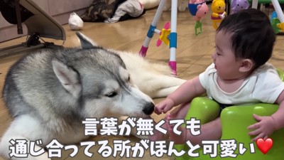 本当の兄弟のよう