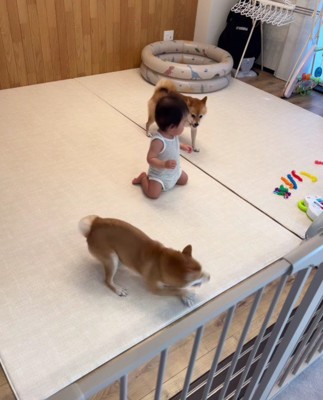 赤ちゃんが間に…！