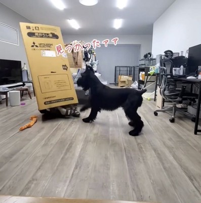 倒れるダンボール