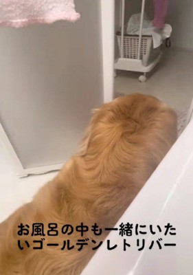 愛されているママが羨ましい♡