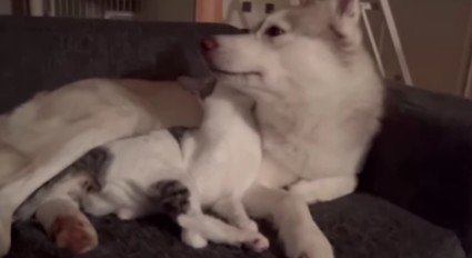 トラブル勃発！！