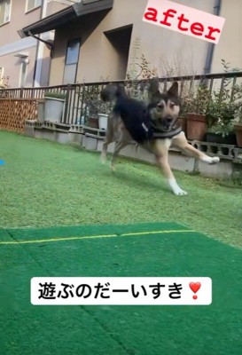 遊ぶ楽しさを知りました♪