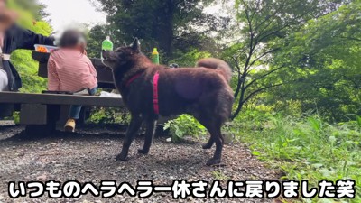 ヘラヘラ顔に戻った