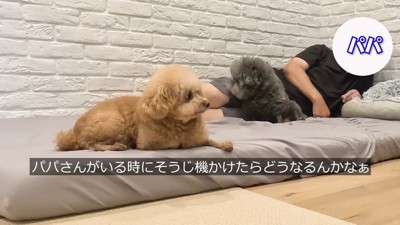 パパさんと一緒にリラックス♪