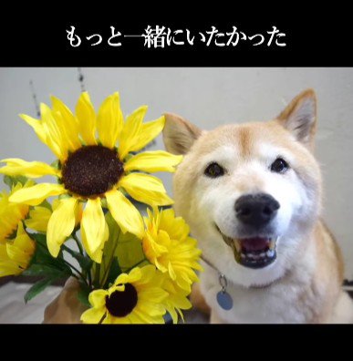 エミーちゃんは心の中に…