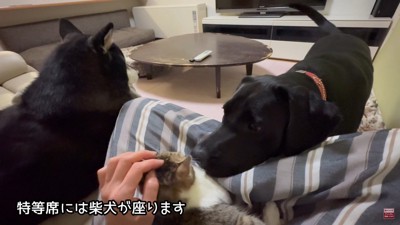 もみじちゃんを囲む大河くん＆銀河くん3