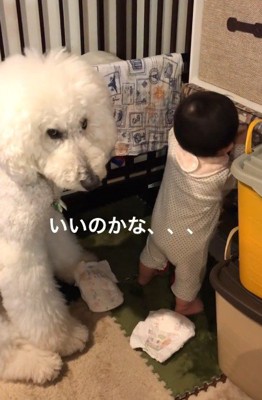 「こんなことして大丈夫…?」