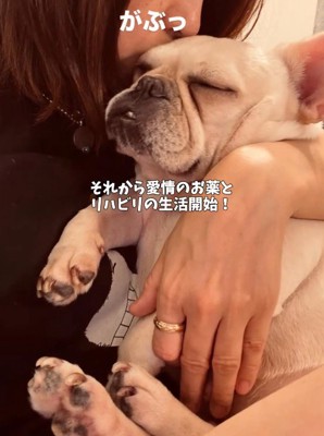 女性に抱っこされるフレンチブルドッグ