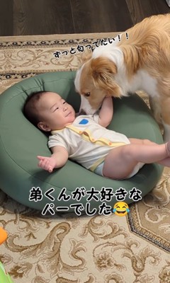 パーちゃんの赤ちゃんへの接し方4