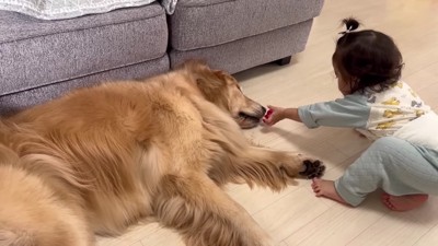 仲良しな3兄妹♡