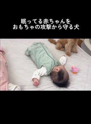 寝ている赤ちゃん