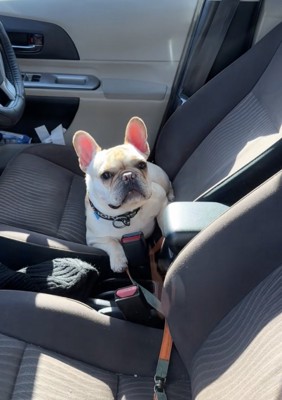 「なにがなんだか…」