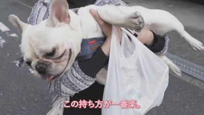 結局、マンションまで抱っこで移動