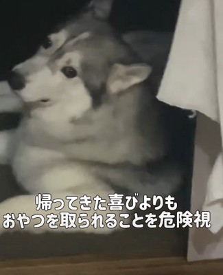 「おやつ取るなよ」