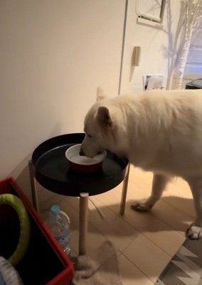 水を飲んでたら…