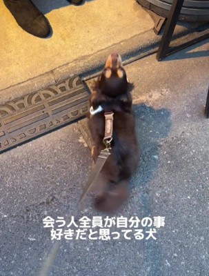 すべての人が自分を好き！？